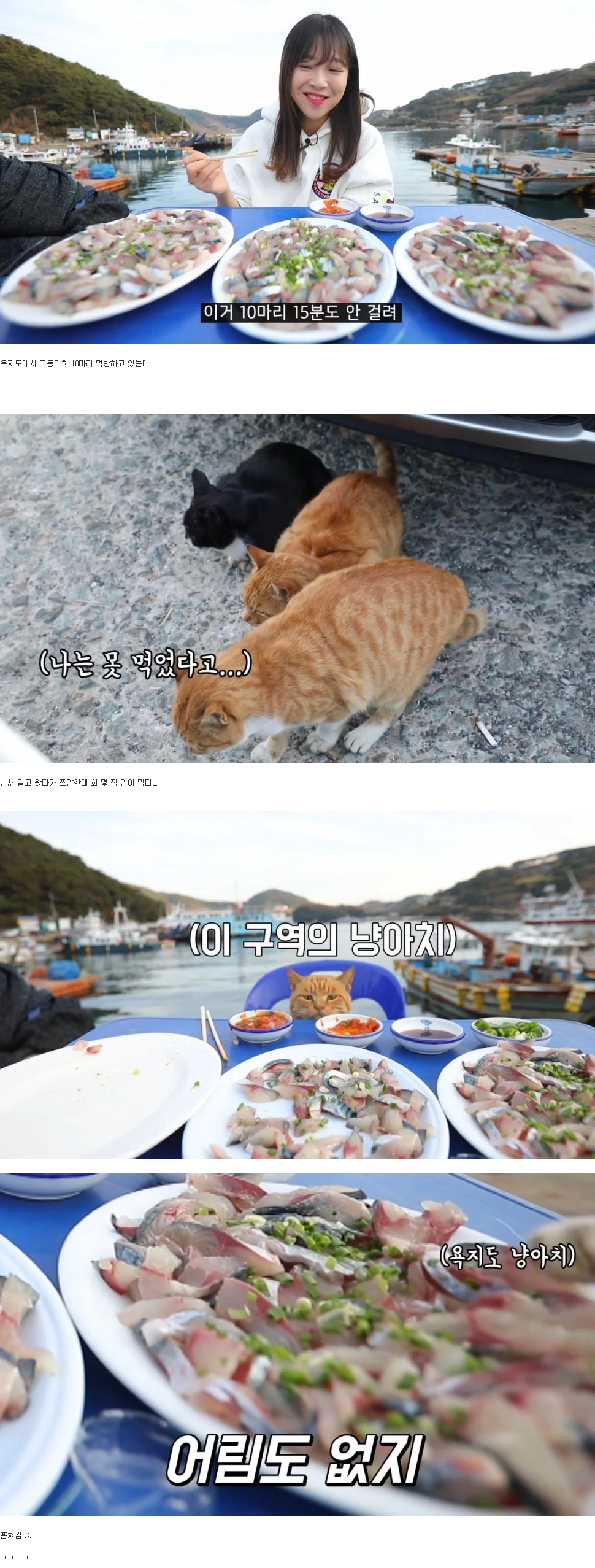 야외 먹방 하는데 자리비운 사이 음식 도둑맞은 쯔양 | 인스티즈