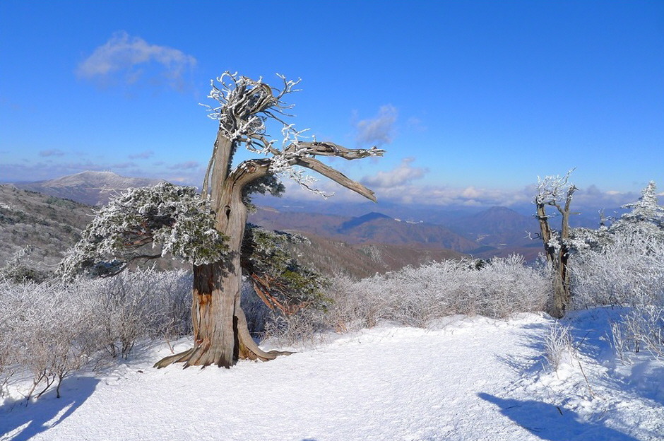 (주)태백산 이미지