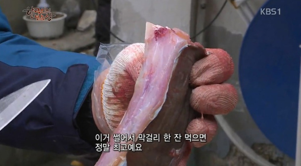흑산도홍어 이미지