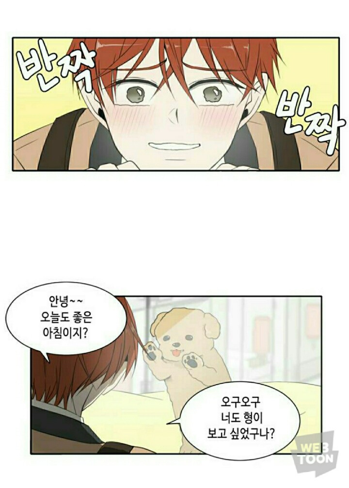 오늘도 사랑스럽개 진쌤vs최율 (웹툰) | 인스티즈