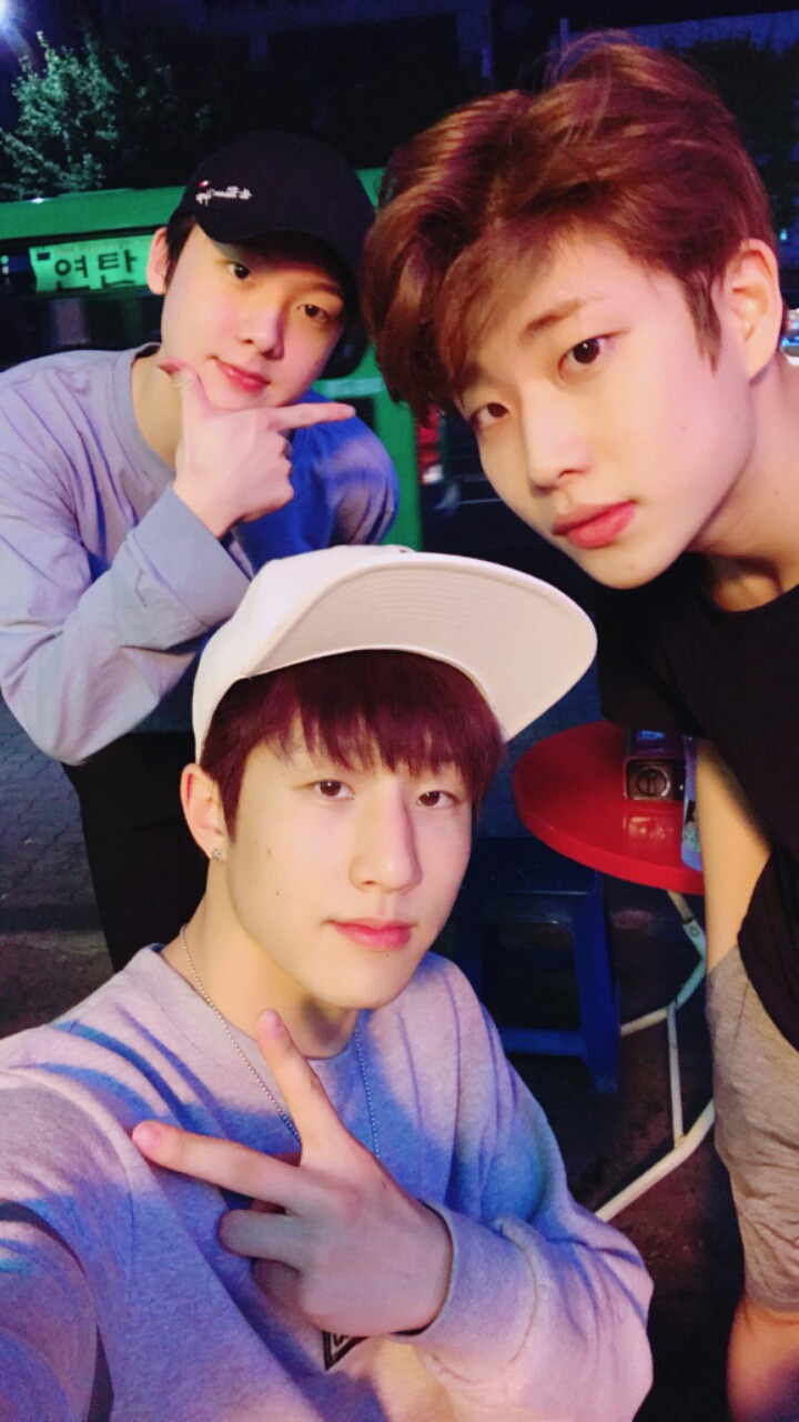 로하 이미지