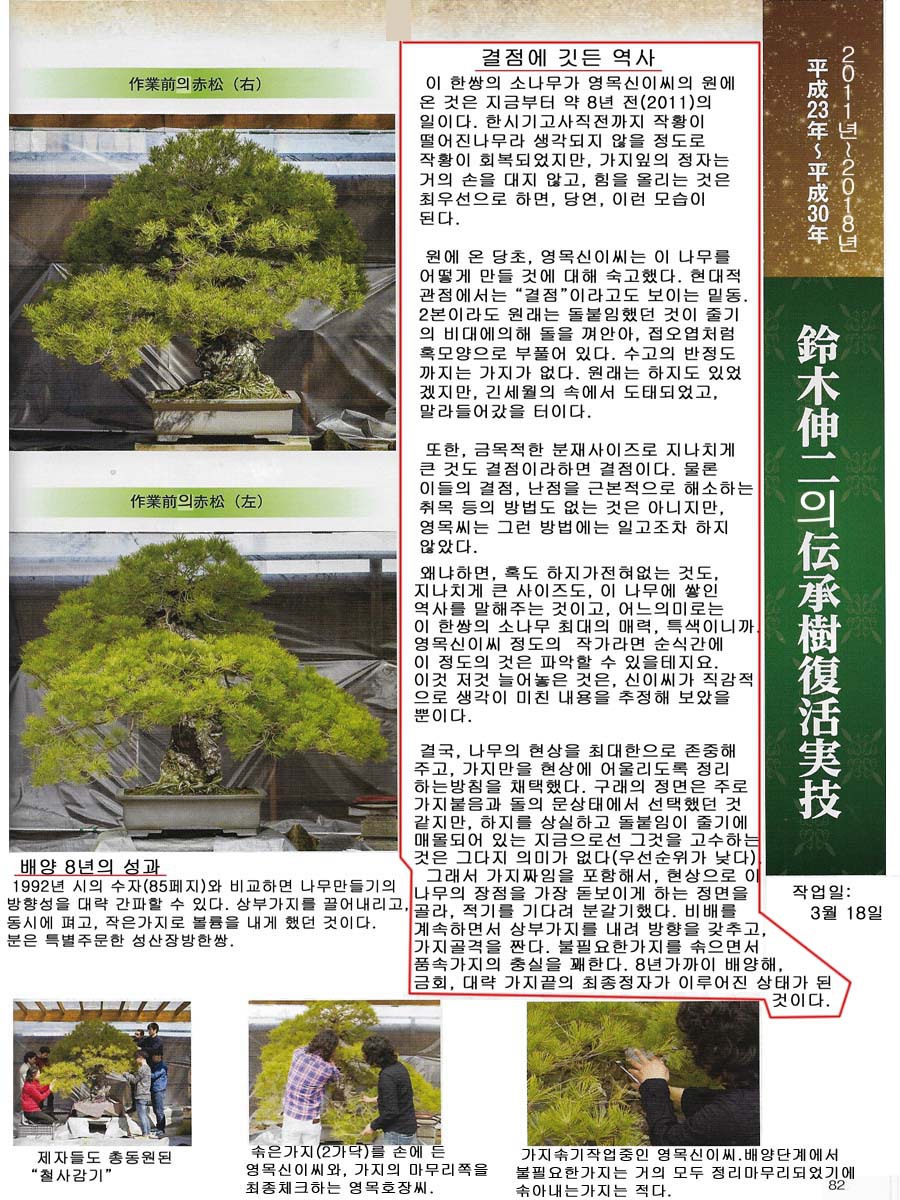 소나무기획 이미지
