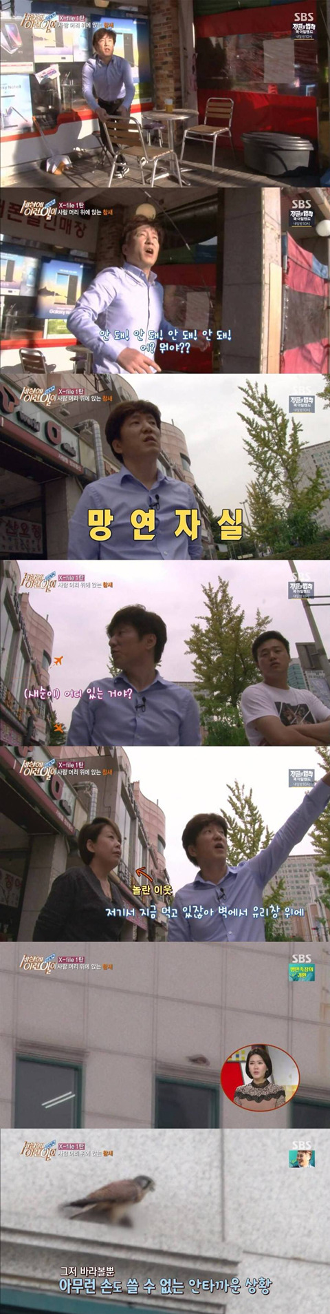 세상에 이런일이 방송사고 | 인스티즈