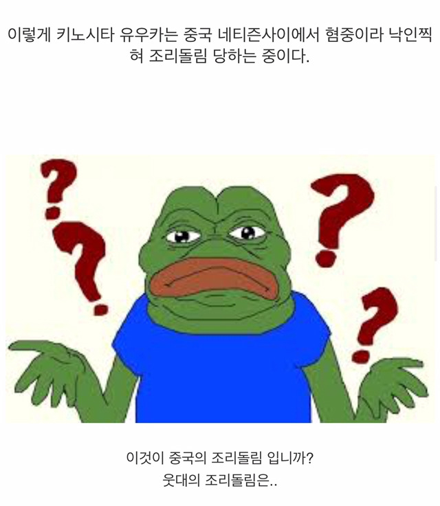 먹방 유튜버 키노시타 유우카가 중국인에게 욕먹는 이유 .JPG | 인스티즈