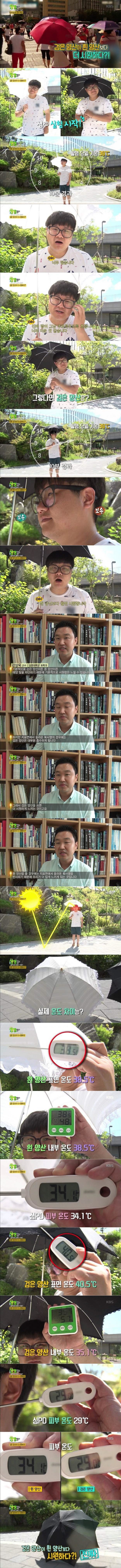 검은 양산이 더 시원한 이유 | 인스티즈