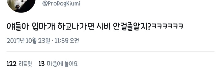 최시원 사건 이후 목줄을 해도 시비털리는 견주들 | 인스티즈