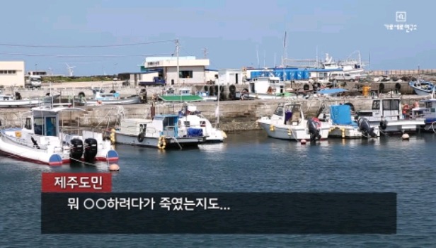제주30대 캠핑여성 실종사건과 난민을 엮는 가로세로연구소.jpg | 인스티즈