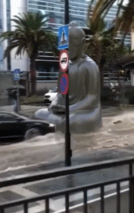석가여 어디가시나이까 | 인스티즈
