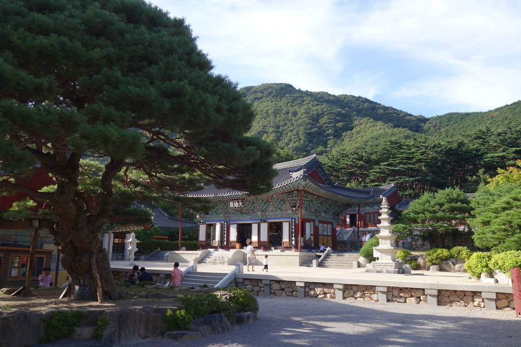 (주)정다운 여행 이미지