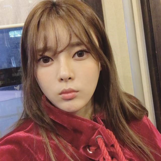 도아 이미지