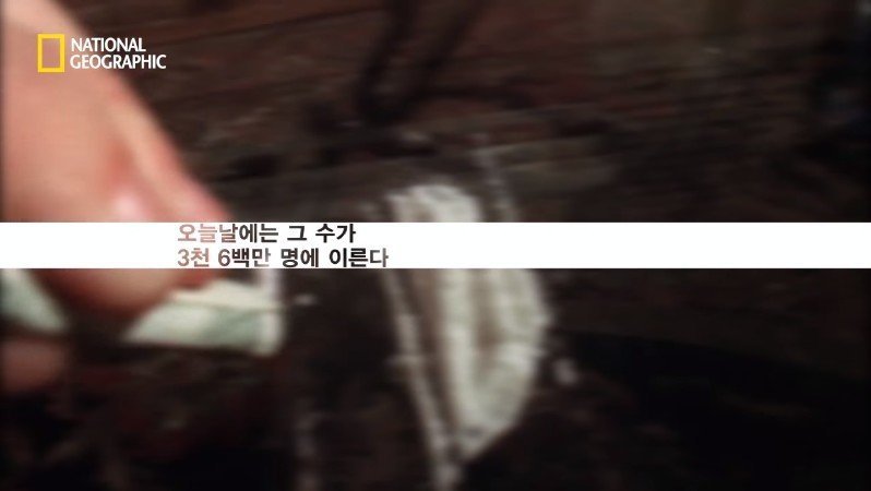 80년대 부자의 상징 코카인?.JPG | 인스티즈