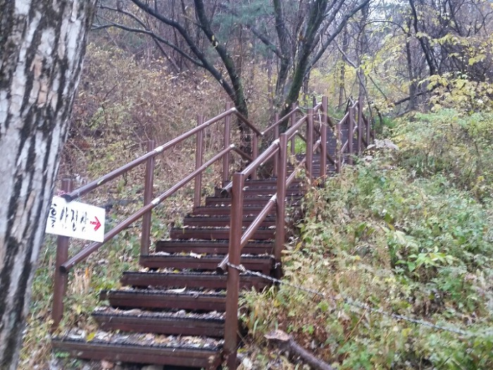 진산주 이미지