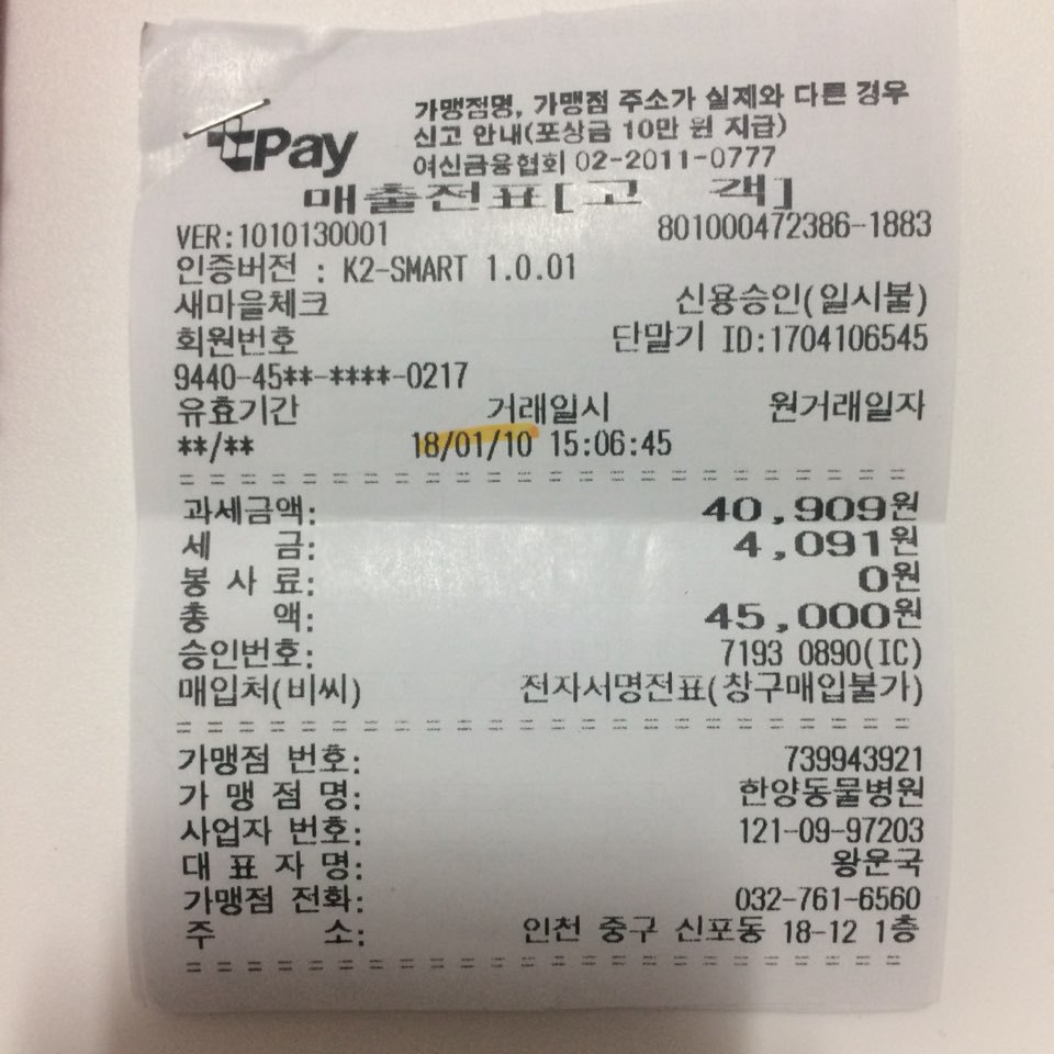 박스안에서 버려진채 떨고있던 고양이 쿠키를 도와주세요! +따뜻한 가족이되어줄 입양처를 찾습니다! | 인스티즈