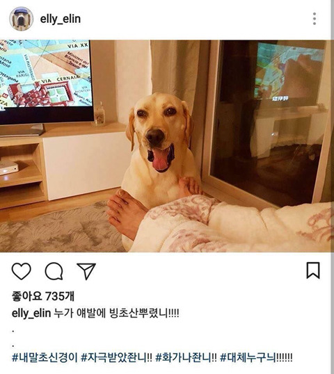 개스타그램 이미지