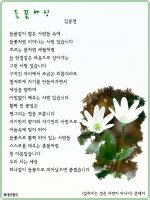 들꽃사랑 이미지