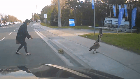 우리애한데 왜그래욧! | 인스티즈