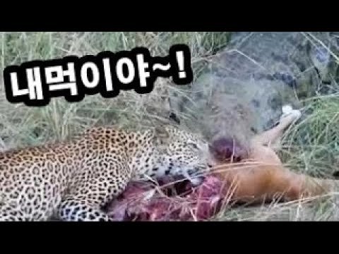 유발 하라리-사피엔스 1화 | 인스티즈