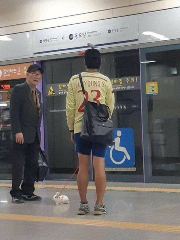 하믄 이미지