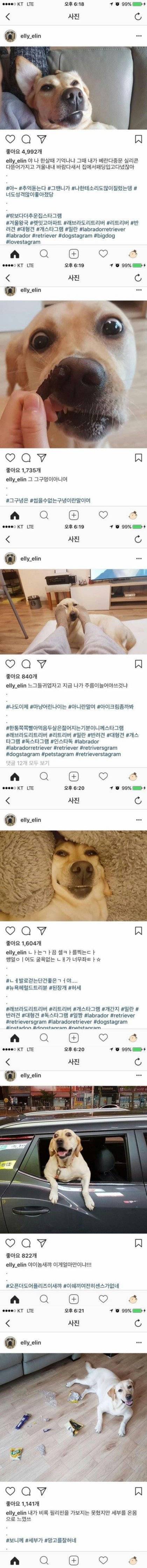 개주인의 흔치 않은 인스타 | 인스티즈