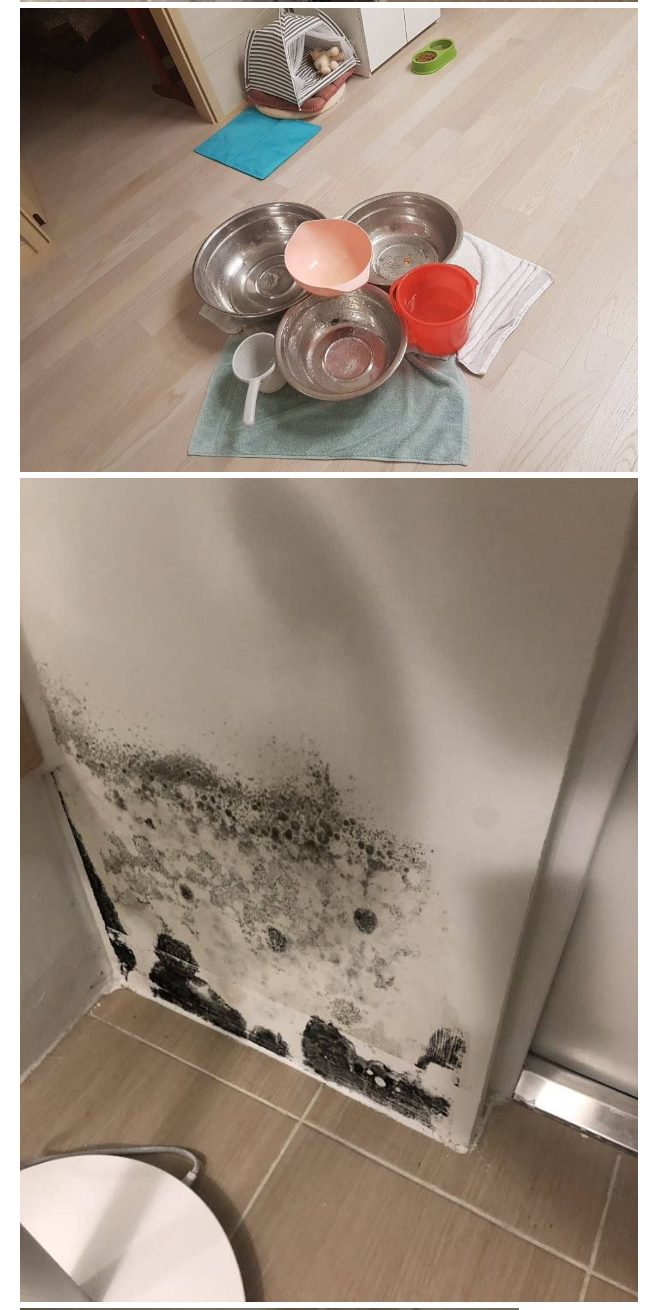 부실시공 아니냐며 난리난 해운대 신축 아파트 | 인스티즈