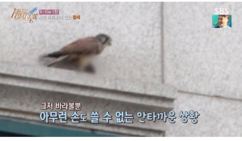 새상에 이런일이 3대 레전드.jpg | 인스티즈