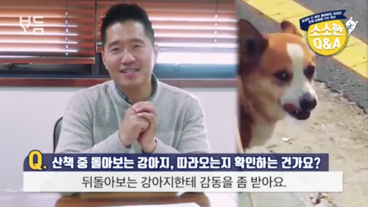 산책 중에 강아지가 뒤돌아보는 이유 | 인스티즈