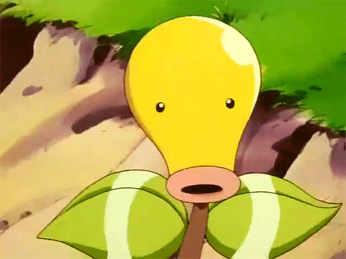 새해 첫 포켓몬스터 | 인스티즈