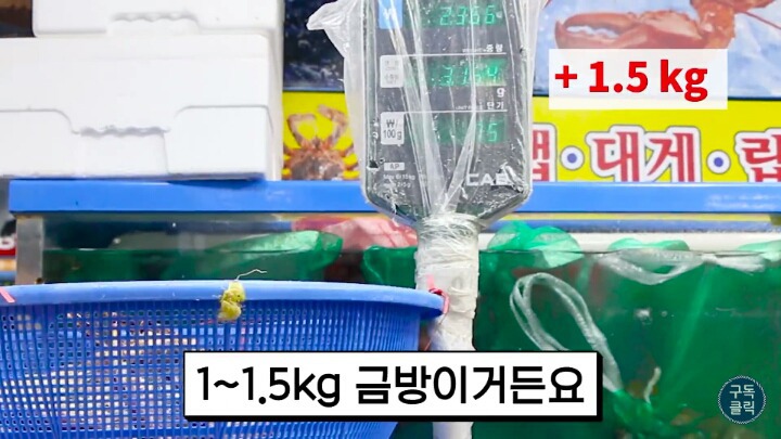 수산물 시장가서 유심히 봐야할 저울 사기치는 방법 | 인스티즈