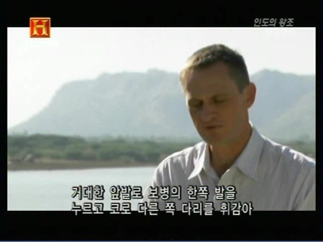 인도의 무굴 제국에서 사용한 전투 코끼리 갑옷 | 인스티즈