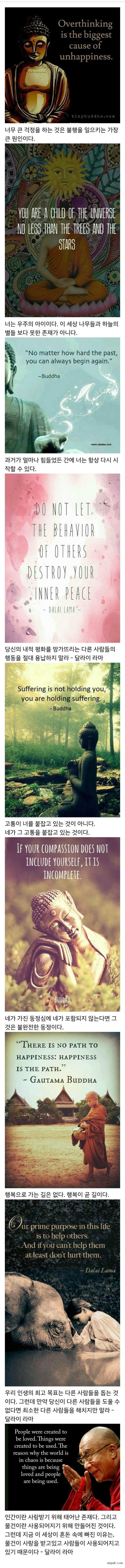 부처님 말씀과 함께 행복한 새해 맞이하세요 | 인스티즈