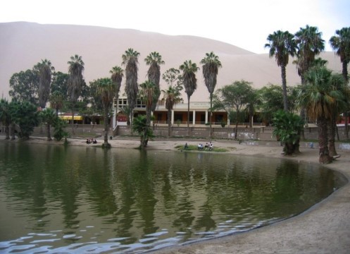 사막 한가운데 오아시스 jpg | 인스티즈