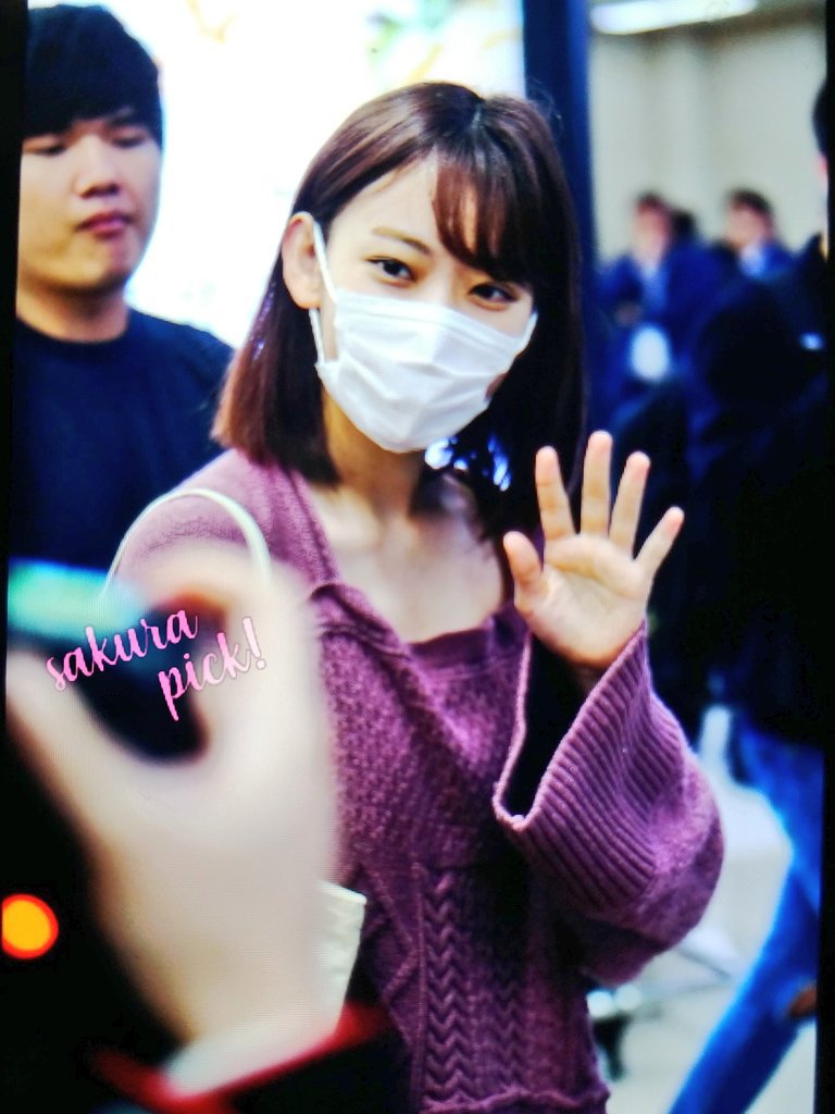 [아이즈원] 조금전 미야와키 사쿠라 김포공항 입국 프리뷰 | 인스티즈