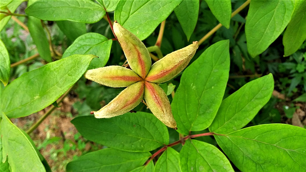 청림원 이미지