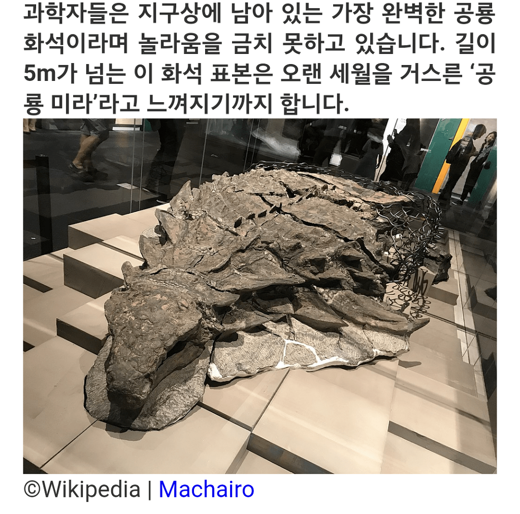 지구상에 남아 있는 가장 완벽한 공룡 화석 | 인스티즈