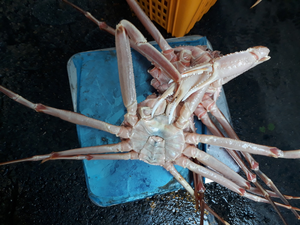 99D4BC3B5CDCCD6A26BB4B