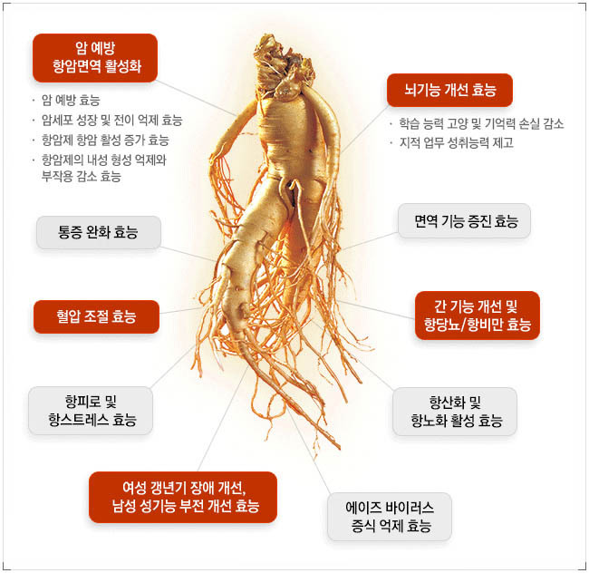 백삼환경기술 이미지