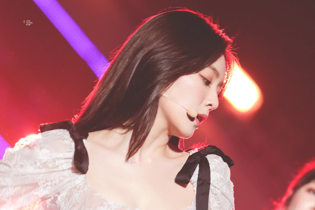 2019 AAA 레드벨벳 아이린(+출입국사진).jpgif | 인스티즈