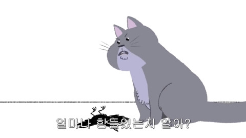[동물] 고양이의 속마음 | 인스티즈