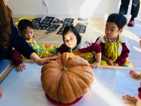 고마워토토 이미지