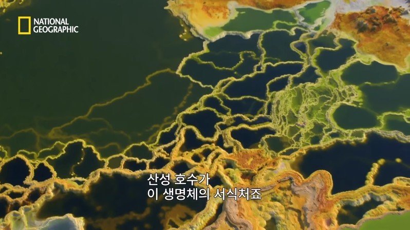 댈롤 화산: 지옥과 같은 이곳에 사는 단 하나의 생명체 | 인스티즈