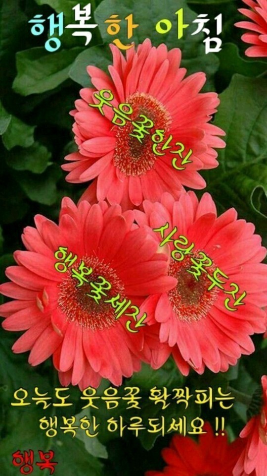 행복한 아침 이미지