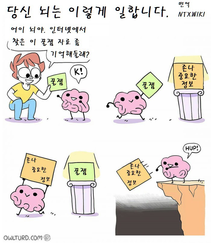 뇌가 일하는 방법 .JPG | 인스티즈