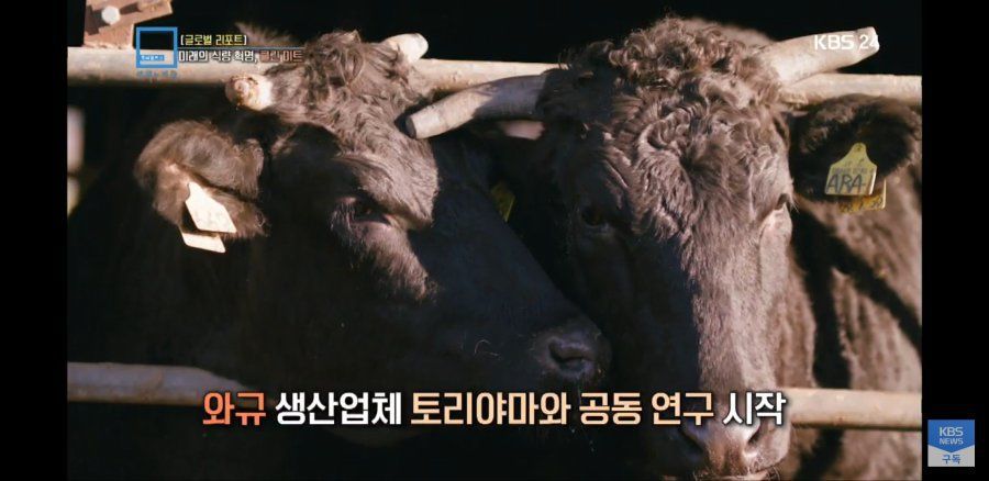 미래클린 이미지
