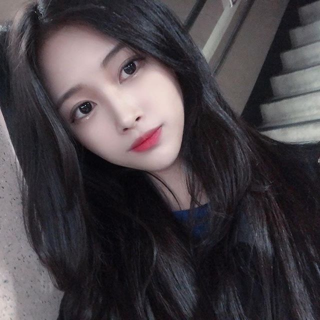 트위치 넘사 닥 1티어 스트리머 .jpg | 인스티즈