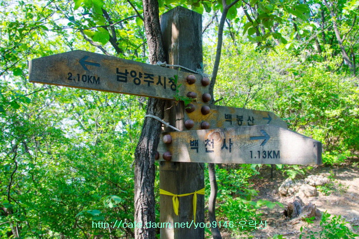 백청사 이미지