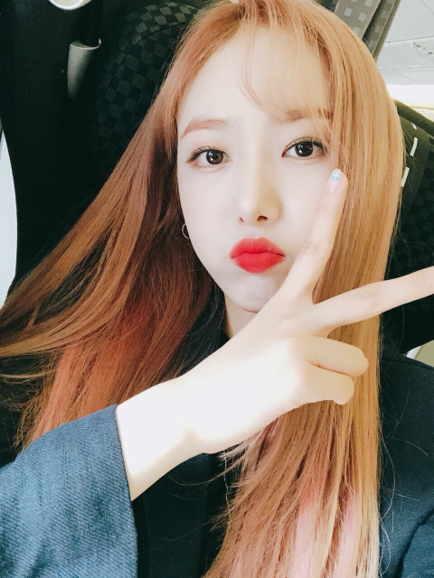 신비양 이미지