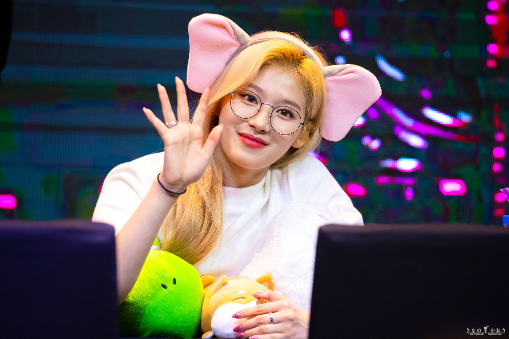 오늘이 생일인 트와이스 사나.jpgif (335장) | 인스티즈