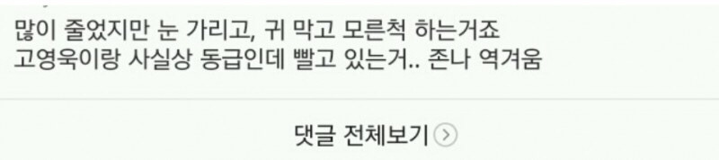 버틴게 대단할 정도인 아이유 악플 | 인스티즈
