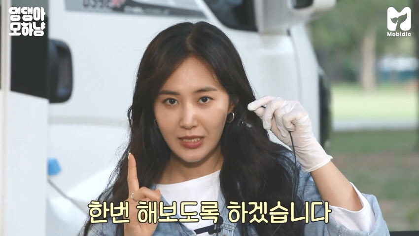 99F995335F08883B31A5DD