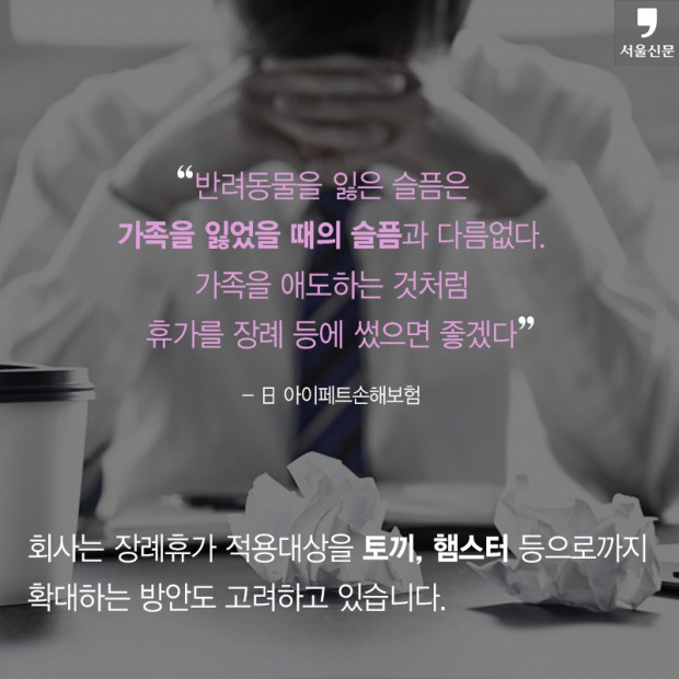 처음 반려동물 만났을때 너무 좋고 예뻐서 전혀 생각하지 못하는 것.jpg | 인스티즈